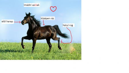 akkor miért ülünk lóra?